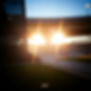 31 Numara Erkek Spor Ayakkabı: Seçim Rehberi ve Stil Önerileri Introduction