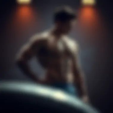 The Aesthetic Appeal of Adonis Muscles Illustration of the Adonis muscle group