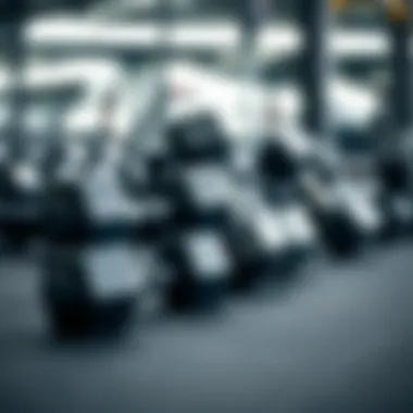 Variety of dumbbells for effective training