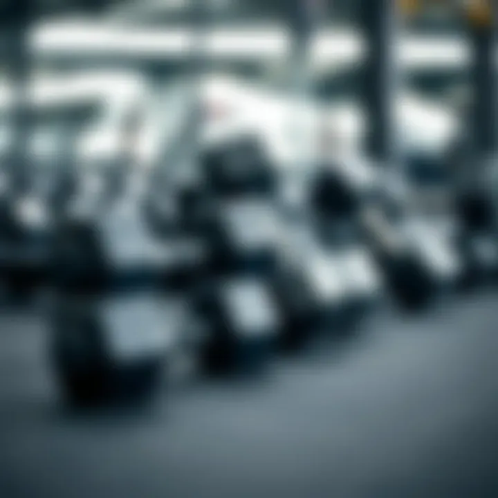 Variety of dumbbells for effective training