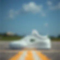 Lacoste shoes showcasing iconic design