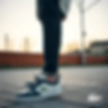 Fashionable Lacoste shoe combinations