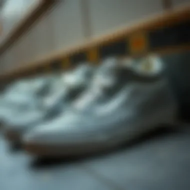 Evolution of Vans Shoes: A Historical Overview Historical timeline of Vans shoes evolution with grey models