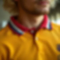 Historical evolution of polo t-shirts