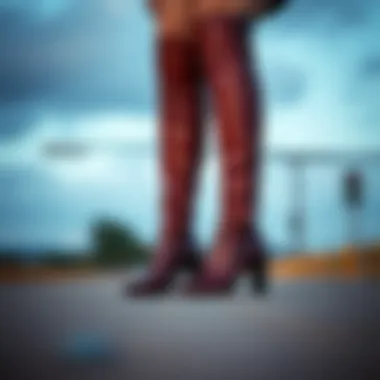 Elegant Knee-High Boots Elegant knee-high boots suitable for formal occasions