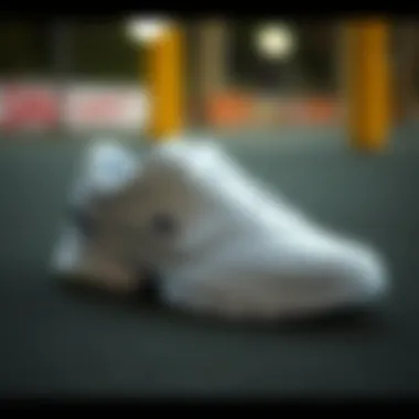 Lacoste Sport L005 Erkek Beyaz Sneaker: Şıklığın ve Konforun Buluşması Summary Lacoste Sport L005 Erkek Beyaz Sneaker: Şıklığın ve Konforun Buluşması Summary