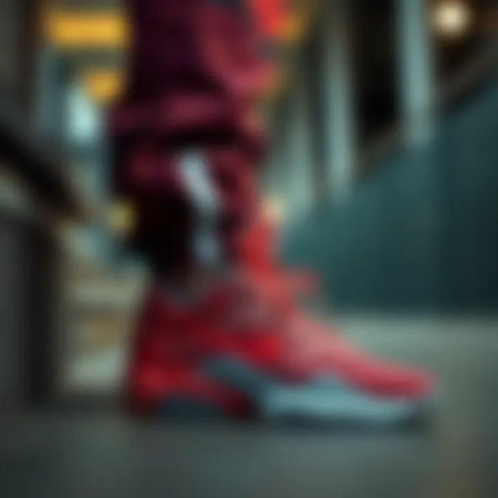 Fashionable outfit complemented by Nike LeBron James shoes