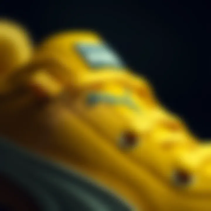 Detailed Texture of Puma Roma Close-up of Puma Roma detailing and texture