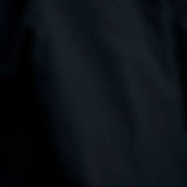 Close-up of high-quality fabric used in black parka