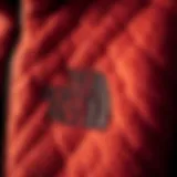 Close-up of The North Face plush jacket showcasing its texture and stitching