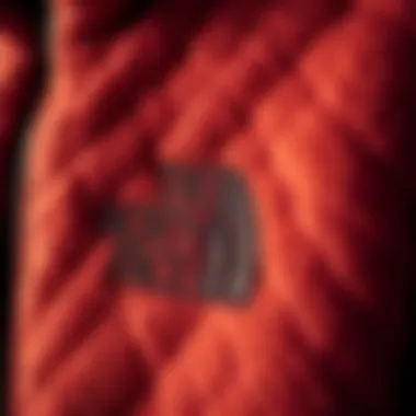 Close-up of The North Face plush jacket showcasing its texture and stitching