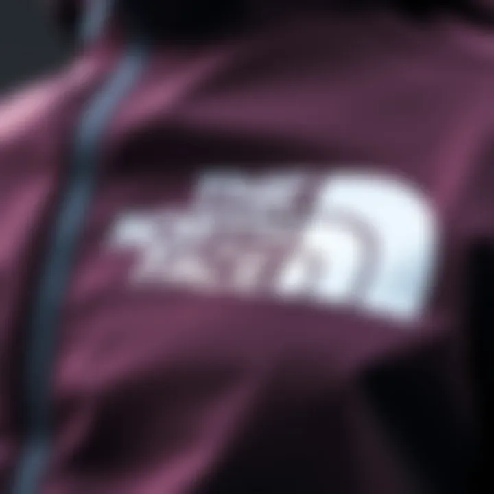 Innovative Technology of The North Face Vectiv Close-up of The North Face Vectiv showcasing its innovative technology