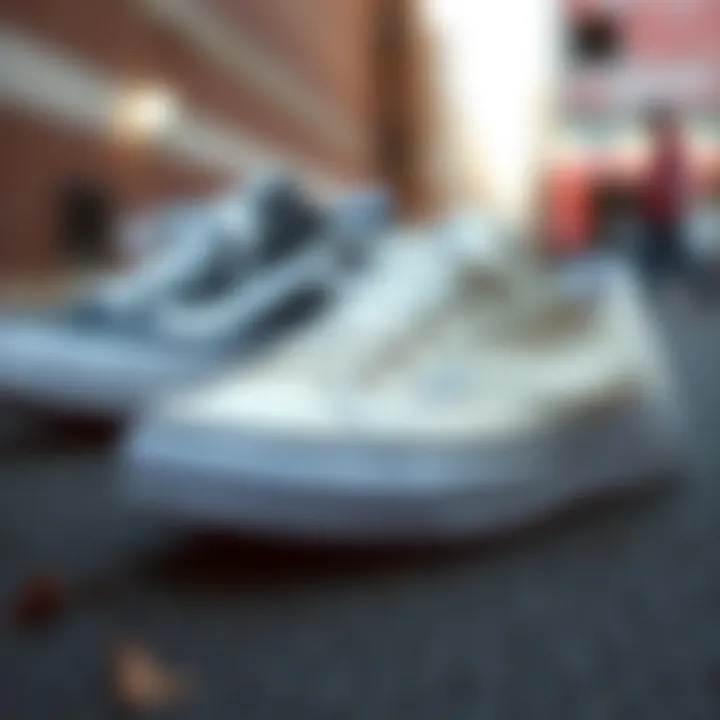 Design features of classic Vans and Converse sneakers