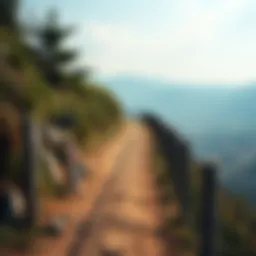 Scenic path for walking