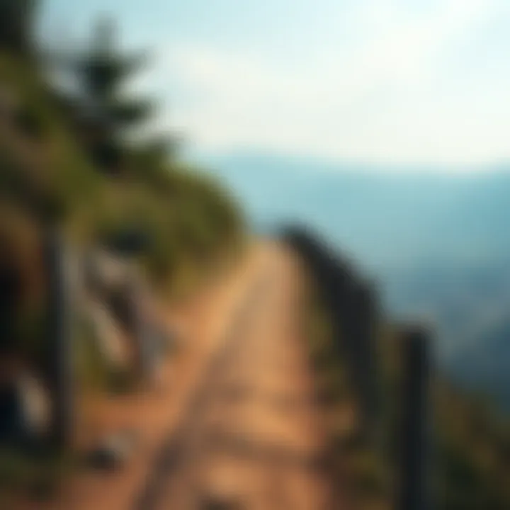 Scenic path for walking